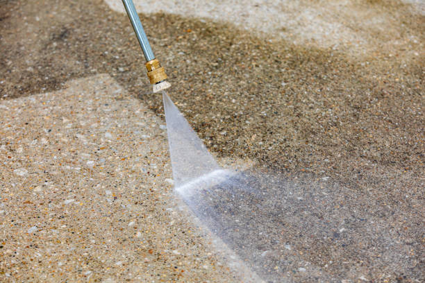 Best Residential Pressure Washing in Alexandria Bay, NY